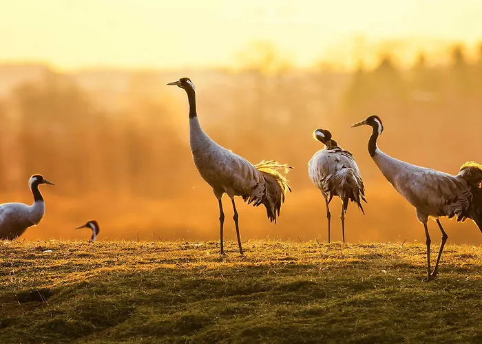 Apartamento Lilie Mit Balkon In Einer Geschmackvoll Sanierten Backsteinmuehle